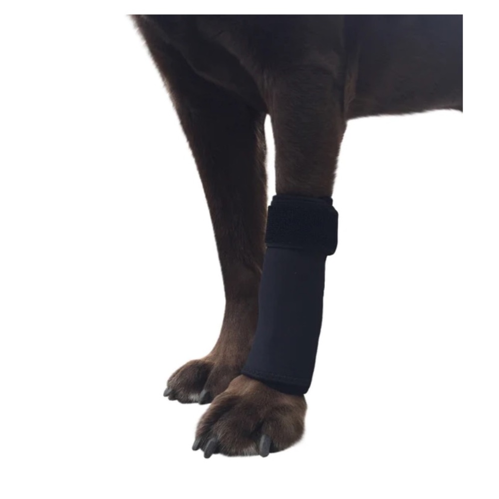 LABRA Premium Canine Front Leg Brace/Compression Large/Xtra Large